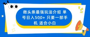 微头条最强玩法介绍一个号日入5张+只要一部手机适合小白-第一资源库