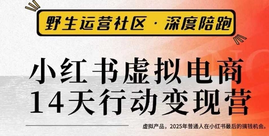 小红书虚拟电商14天变现训练营3.0,虚拟产品,2025年普通人在小红书最后的搞钱机会-第一资源库