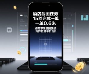 酒店截图任务，15秒完成一单，一单0.6米，任务不限量随便接，矩阵拉满单日3张【揭秘】-第一资源库