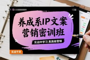 养成系IP文案营销密训班,实战中学习真高级营销-第一资源库