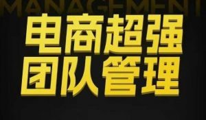 电商超强团队管理，组织绩效，到用人执行，分权合伙-第一资源库