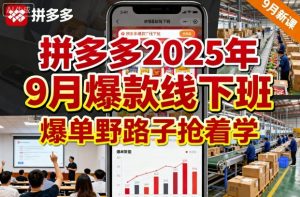 拼多多2025年9月爆款线下班，爆单野路子抢着学-第一资源库