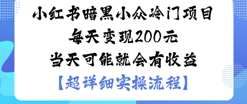 小红书暗黑小众冷门项目每天变现2张当天可能就会有收益-第一资源库