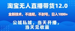 淘宝无人直播12.0,公域私域技术,不封号,不违规布局双十一流量风口,日入1k(独家技术)【揭秘】-第一资源库