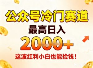 公众号冷门赛道，最高日入1k+，这波红利小白也能捡钱！-第一资源库