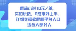 番茄小说10米每单,实拍玩法,0成本好上手,详细实操教程和平台入口适合大部分人-第一资源库