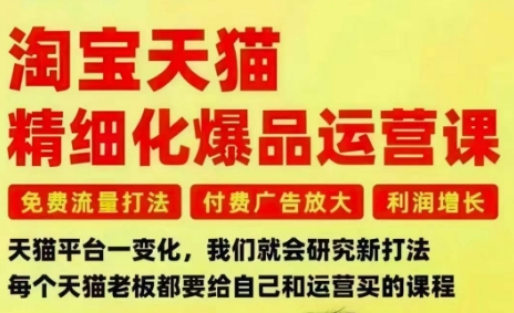 淘宝天猫精细化爆品运营课,免费流量打法-付费广告放大-利润增长-三大核心痛点,一次全部解决-第一资源库
