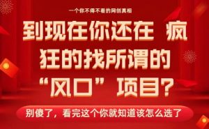 马上26年了,你还在找所谓的风口项目?别傻了,看完这个你全都懂了!【揭秘】-第一资源库