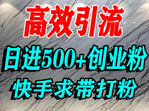 怎么打创业粉?快手求带视角精准引流创业粉,宝妈、学生群体日进500+精准流量-第一资源库