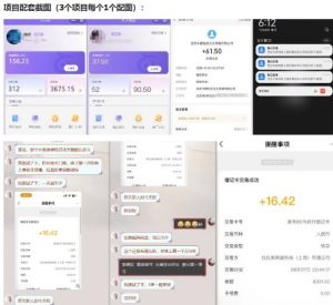 当天能收益的3个小项目拆解_包括平台+操作流程-第一资源库