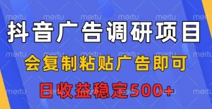 抖音广告调研项目,会复制粘贴广告即可,任务没有上限,日收益稳定5张【揭秘】-第一资源库
