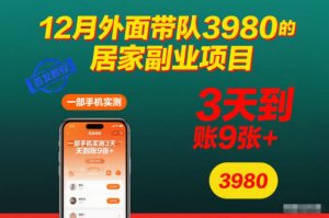 12月外面带队3980的居家副业项目,一部手机实测3天到账9张+,首发教程【揭秘】-第一资源库