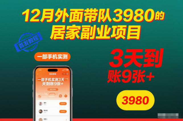 12月外面带队3980的居家副业项目,一部手机实测3天到账9张+,首发教程【揭秘】-第一资源库