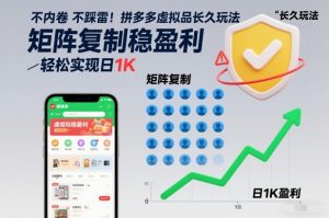 不内卷不踩雷！拼多多虚拟品长久玩法，矩阵复制稳盈利，轻松实现日1K【揭秘】-第一资源库