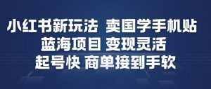 小红书新玩法，卖国学手机贴，蓝海项目，变现灵活，起号快，商单接到手软-第一资源库