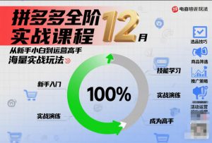 拼多多全阶实战课程12月，从新手小白到运营高手，海量实战玩法-第一资源库