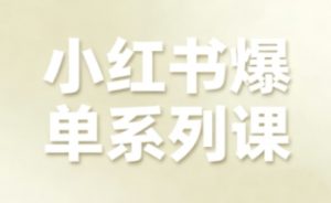 小红书爆单系列课,聚焦小红书电商全链路增长(更新)-第一资源库