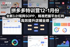 拼多多特训营12-1月份,全新3.01矩阵Sop,精准把握平台红利,高效提升店铺业绩-第一资源库