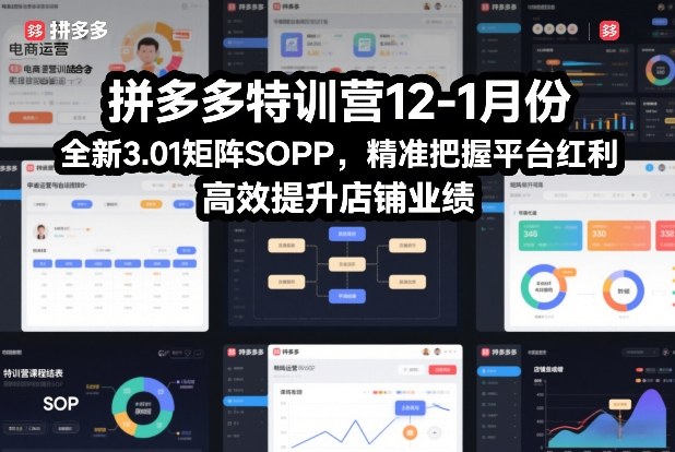 拼多多特训营12-1月份,全新3.01矩阵Sop,精准把握平台红利,高效提升店铺业绩-第一资源库