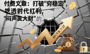 付费文章：打破“穷稳定”，吃透时代红利，“闷声发大财”的终极真谛-第一资源库