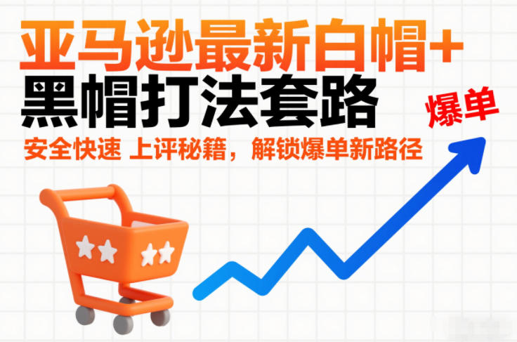 亚马逊最新白帽+黑帽打法套路,安全快速上评秘籍,解锁爆单新路径-第一资源库