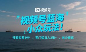 视频号蓝海小众玩法！外面收费399，零门槛日入3张+，老少皆宜-第一资源库
