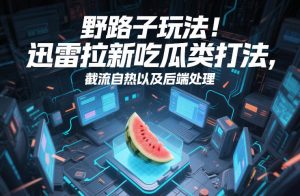 野路子玩法!迅雷拉新吃瓜类打法,截流自热以及后端处理-第一资源库