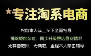 松鼠会电商VIP课程,从基础布局到高阶优化,助你掌握淘宝运营逻辑,提升店铺流量与转化(更新1029)-简知库